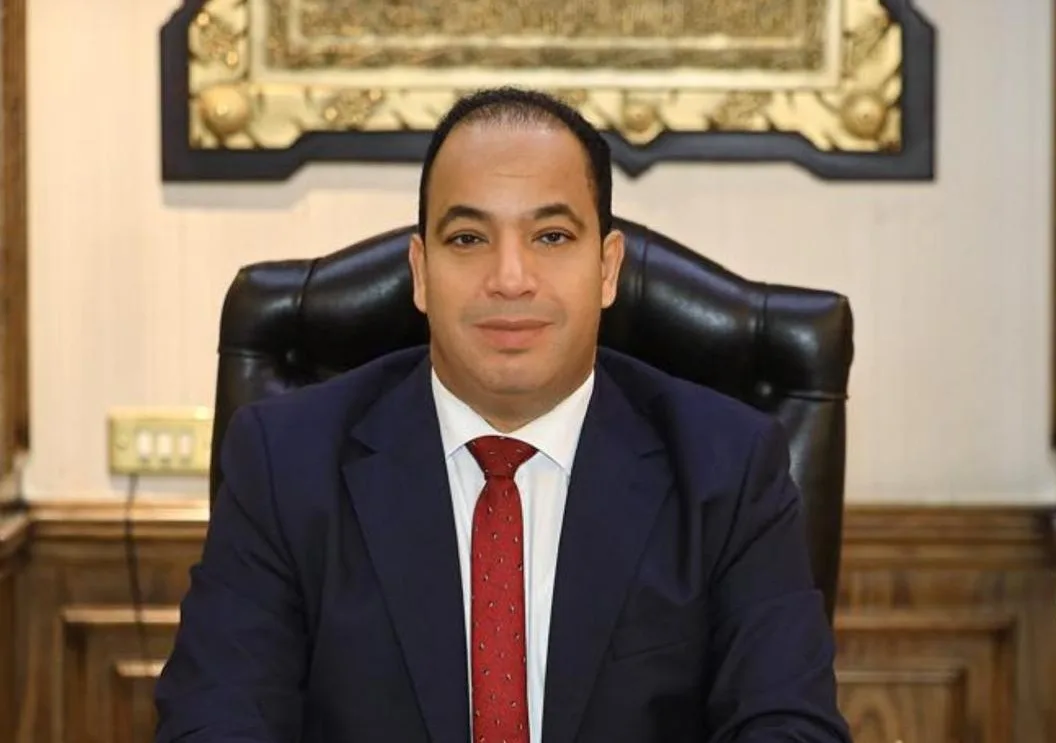 الدكتور عبدالمنعم السيد مدير مركز القاهرة للدراسات الاقتصادية قراءة في توجيهات الرئيس السيسي ودخول مصر مرحلة اقتصادية جديدة