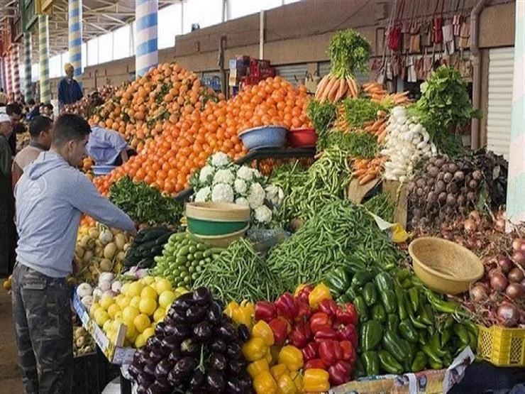 سعر الأسمنت والحديد و الخضروات والفاكهة اليوم الأحد 9 أغسطس 2026