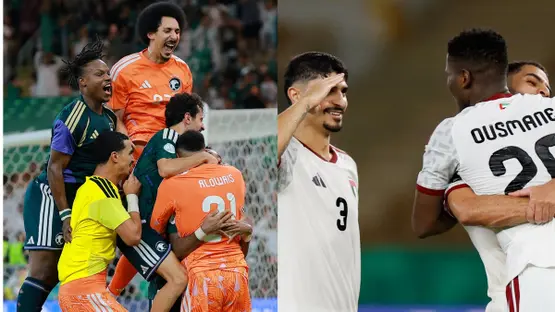 توزيع جماهير السعودية والإمارات