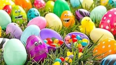 موعد إجازة شم النسيم 2026 للقطاع الخاص بمصر.. قرار رسمي