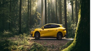 سلسلة فانغ تشنغ إس 2026