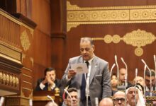 نشاط النائب فتحي دسوقي عبده