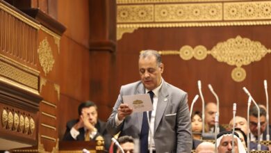 نشاط النائب فتحي دسوقي عبده