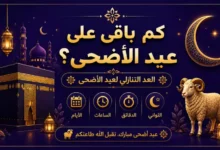 كم يوم باقي على عيد الأضحى 2026 في مصر وموعد وقفة عرفات؟