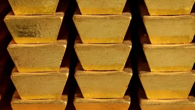 مجلس الذهب العالمي: البنوك المركزية تعتزم زيادة حيازاتها من المعدن النفيس