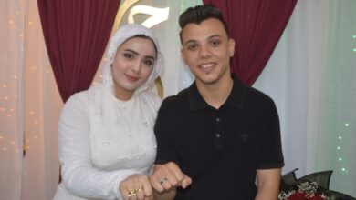 عائلات المليجي وشيبة