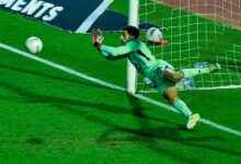 مصطفى شوبير