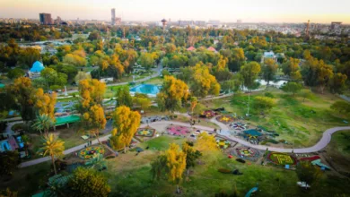 حادث متنزه الزوراء.. نزهة عائلية تنتهي بمأساة و3 وفيات (1)