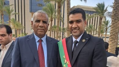 أحمد عادل حشمت