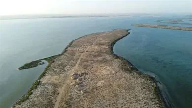 تسرب نفطي قبالة ساحل الإمارات