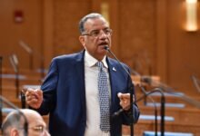 د. محمود مسلم عضو مجلس الشيوخ