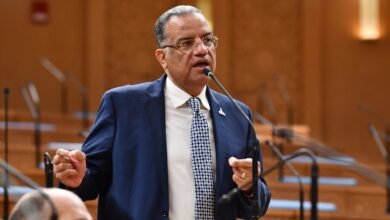 د. محمود مسلم عضو مجلس الشيوخ